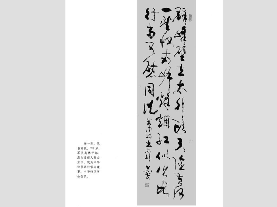 张一民书法作品鉴赏(一)