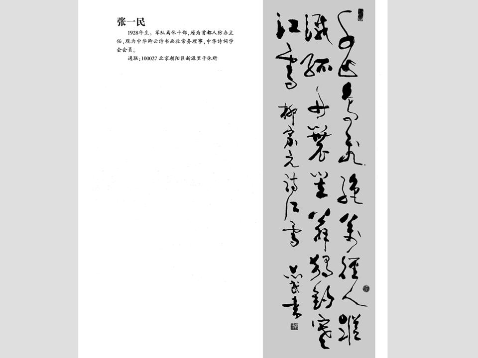 张一民书法作品鉴赏四