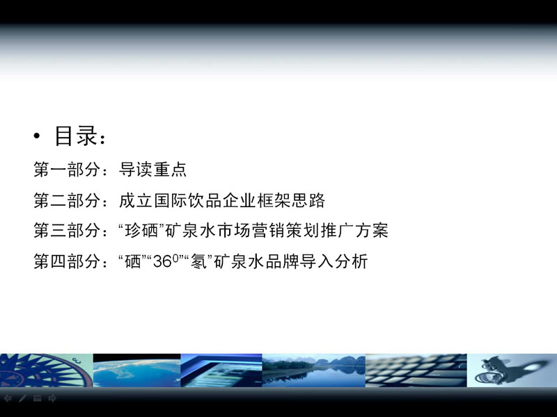 “国际饮品企业”可行性报告02